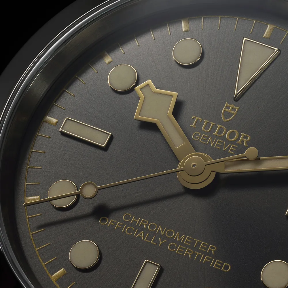 TUDOR Black Bay M79680-0001